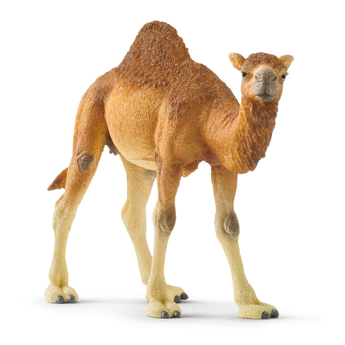 Schleich Wild Life - Dromedaris speelfiguur, afbeelding 2