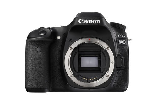 Canon 80D + EF-S 18-135mm IS USM – image 9