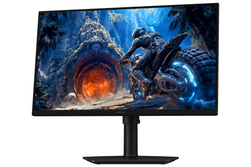 Samsung Odyssey G4 G40H Moniteur Gaming FHD 25 pouces – Fast IPS, DisplayPort 300 Hz / HDMI 240 Hz, 1 ms, Noir – Photo 10 sur 10