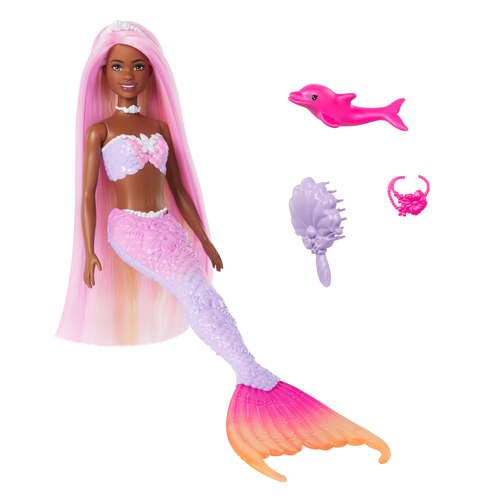 Barbie A Touch of Magic Doll and Accessories