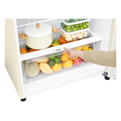 LG GTB744SECV fridge-freezer Freestanding – image 6