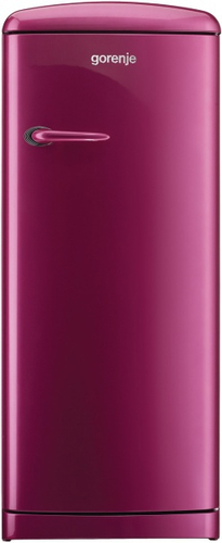 Gorenje RB6288OP combi-fridge Freestanding