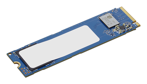 LENOVO ThinkCentre 256GB Value PCIe Gen4