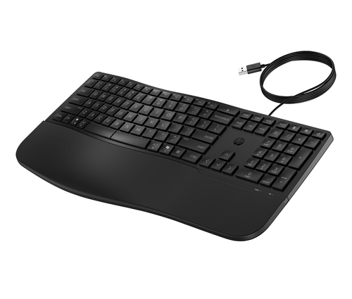 HP 485 CFT WD KBD – image 3