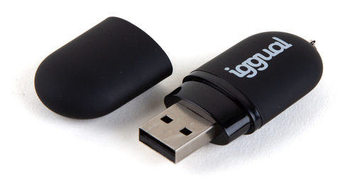iggual IGG318393 USB flash drive