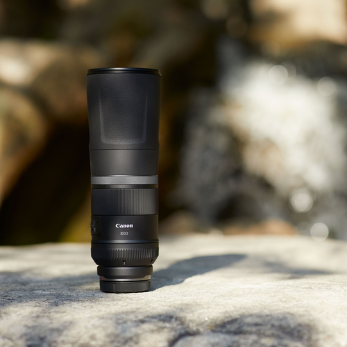Canon RF 800mm F11 IS STM – image 7