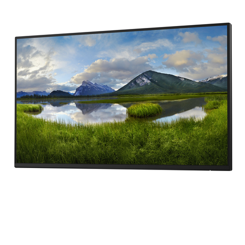 DELL 24 Monitor P2425H 23.8inch