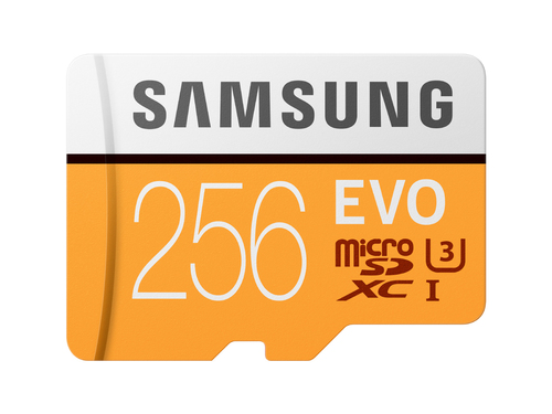 Samsung MB-MP256HA 256 GB MicroSDXC UHS-I Класс 10
