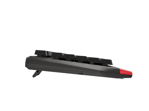 GENESIS NKG-1740 keyboard Gaming USB QWERTY US English Black, Red – image 4