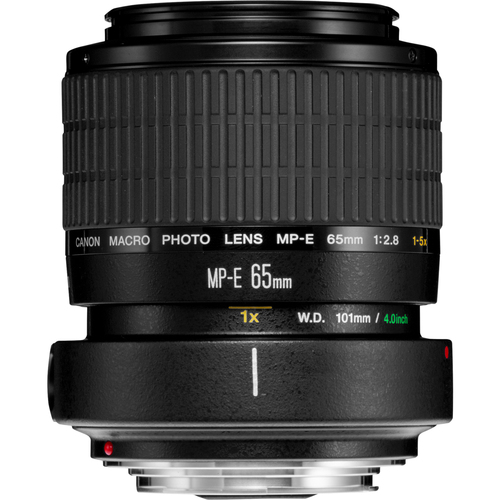 Canon MP-E 65mm f/2.8 1-5x Macro Photo Lens