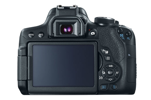 Canon Rebel T6i + EF-S 18-55mm f/3.5-5.6 IS STM + EF-S 55-250mm f/4-5.6 IS II