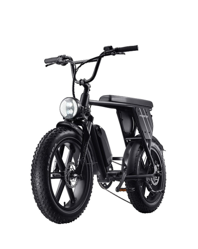Acer Predator eNomad-R eBike