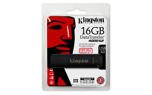 Kingston Technology 4000 G2 16GB – image 3
