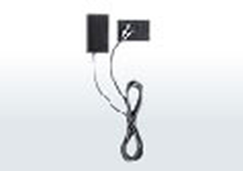 Ricoh AC-4d power adapter/inverter Black