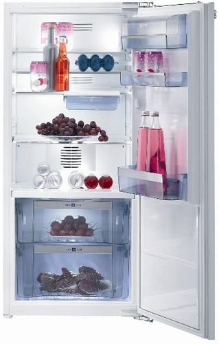 Gorenje RI56208 fridge Built-in White