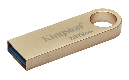 Memoria USB Kingston Technology SE9 G3