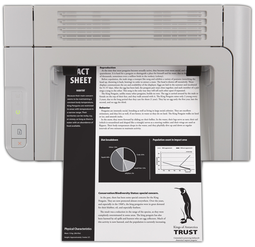 HP Pro P1566 – image 9