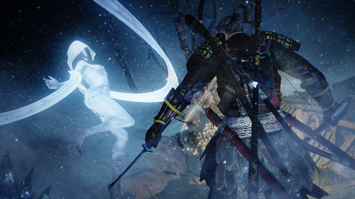 Sony Interactive Entertainment Nioh Стандартная PlayStation 4