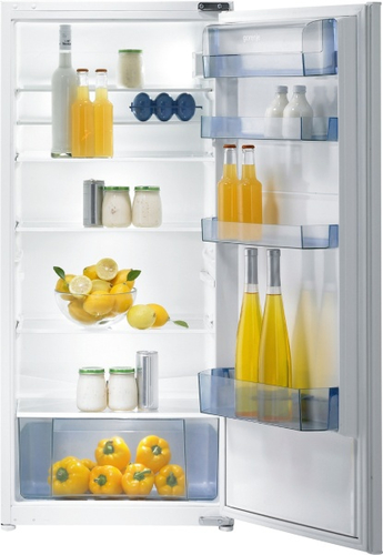 Gorenje RI41225 fridge Built-in