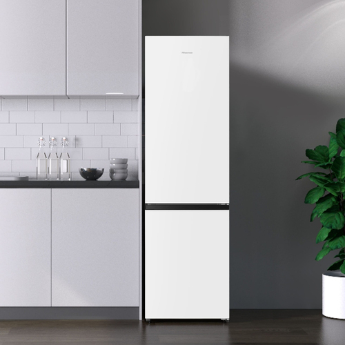 Hisense RB440N4AWC fridge-freezer Freestanding – image 2