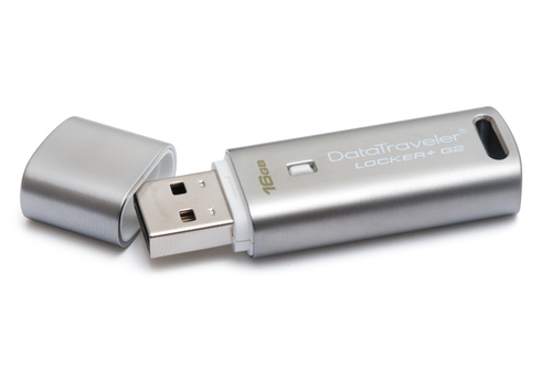 Kingston Technology Locker+ G2 16GB – image 2