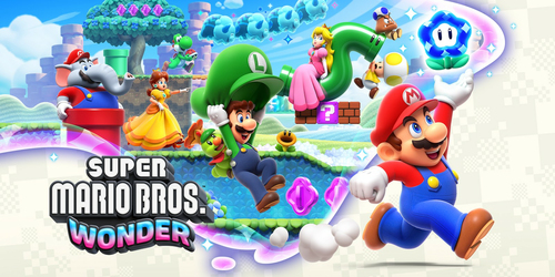 NINTENDO NINMARIOWONDER