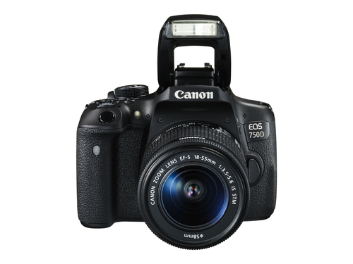 Canon 750D + EF-S 18-55 IS STM – image 4