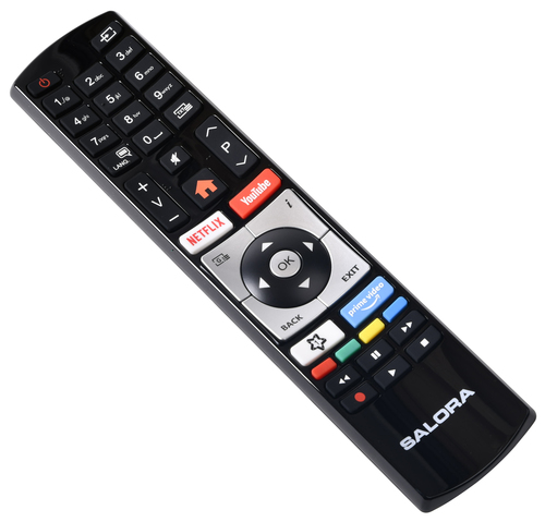 Salora Remote control television ( P23AT627410)