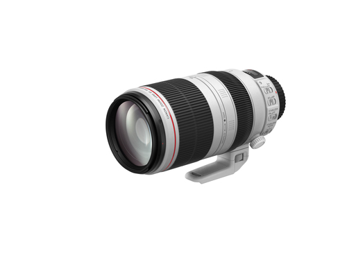 Canon EF 100-400mm f/4.5-5.6L IS II USM – image 3