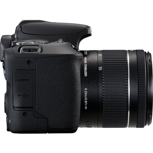 Canon 200D + EF-S 18-55mm f/4-5.6 IS STM – image 6