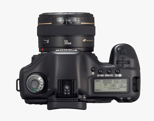 Canon EOS 5D + EF 24-105mm + EF 100-400mm – image 3