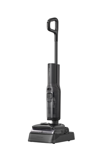 Roborock F25 Steam