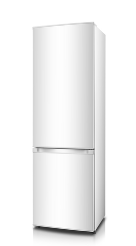Hisense RB343D4BW1 fridge-freezer Freestanding