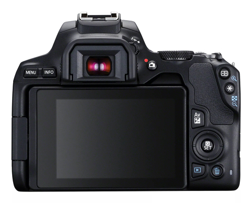 Canon 250D + 18-55mm IS STM – image 6