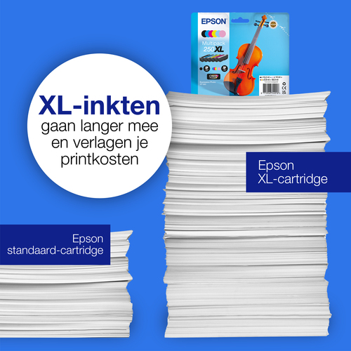 Epson 250 Combo Pack XL, afbeelding 4
