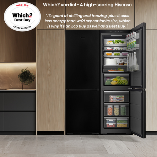 Hisense Fridge/freezer RB5K330GSFC ČR – image 3