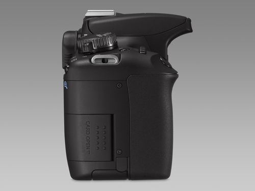Canon EOS 1000D + EF-S 18-55IS – image 6
