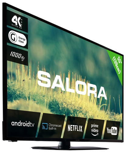 Salora 2204 series 55EA2204 TV – image 2