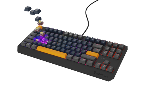GENESIS NKG-2163 Thor 230 TKL toetsenbord Grijs, afbeelding 3