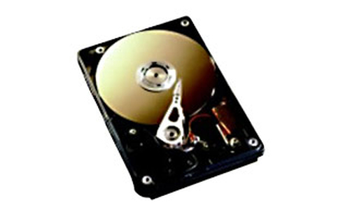 Fujitsu HDD SATA 160GB 5.4k