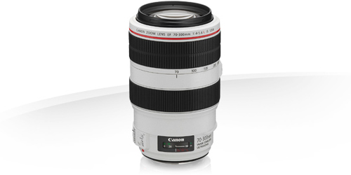 Canon Zoomobjektiv EF 70-300mm f / 4.0-5.6 IS II USM - CHF 100 CB