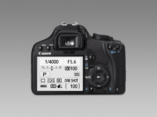 Canon EOS 450D + EF 17-85 + EF 70-300 – image 8