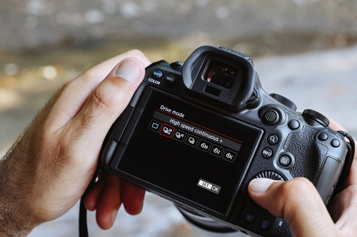 Canon EOS R6 Mark III + RF 24-105mm F4-7.1 IS STM – image 9