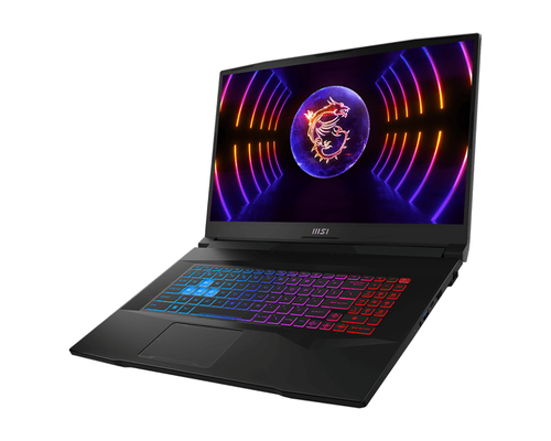 MSI Pulse 17 B13VFK-072XES Intel® Core™ i7 i7-13700H Ноутбук 43,9 cm (17.3") Full HD 16 GB DDR5-SDRAM 1 TB Твердотельный накопитель (SSD) NVIDIA GeForce RTX 4060 Wi-Fi 6 (802.11ax) Free DOS Серый