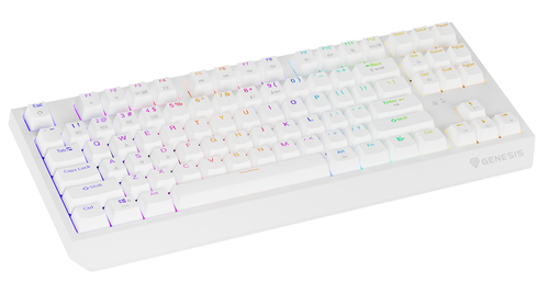 GENESIS NKG-2165 Thor 230 TKL toetsenbord Draadloos Wit, afbeelding 2