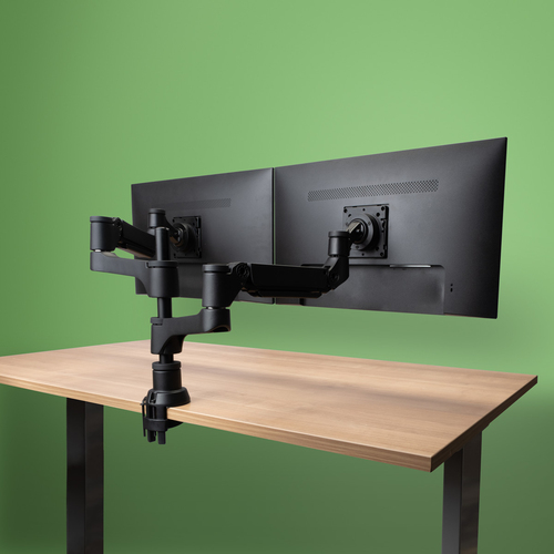 R-Go Tools R-Go Dubbele monitorarm Caparo (gasvering), afbeelding 5