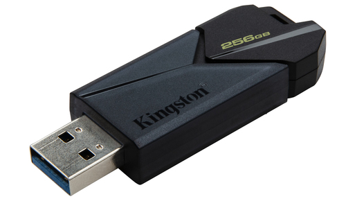 Memoria USB Kingston Technology DTXON/256GB