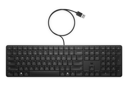 HP 175K WD KBD EMEA-INTL English Loc-Euro plug – image 4