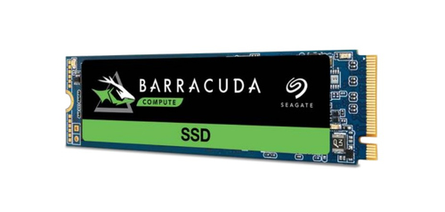 Seagate BarraCuda ZP256CM30031 internal solid state drive