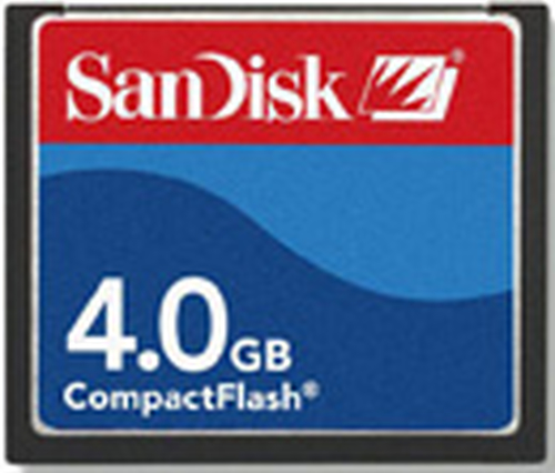 Canon Standard CompactFlash® Card 4GB